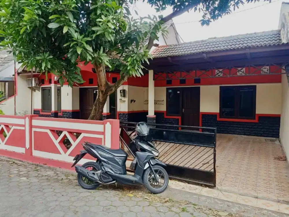 Disewakan rumah rumah minimalis dalam perum area jalan kabupaten