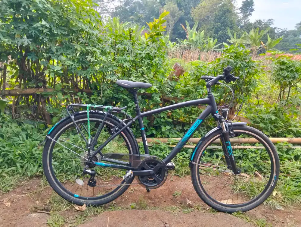 POLYGON Sierra deluxe gent size 48 mulus