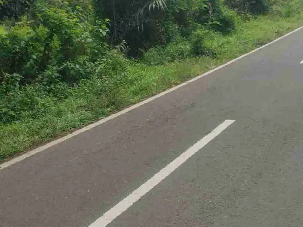 Dijual tanah di cimarga rangkas bitung lebak banten