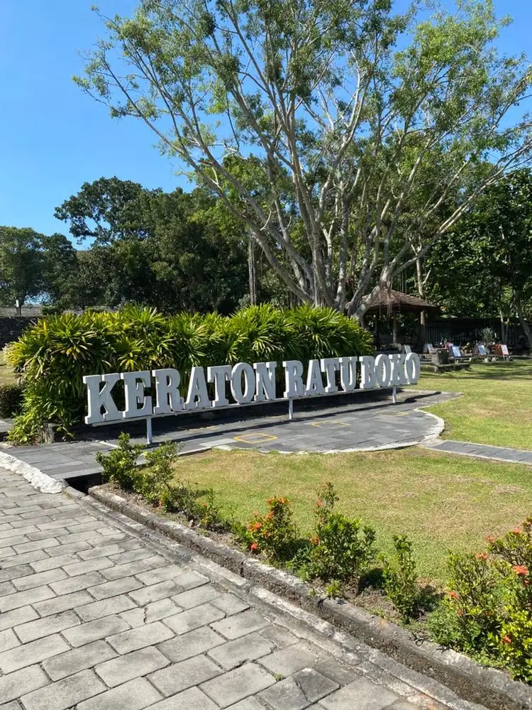 Butuh cepat WA pengguna lama