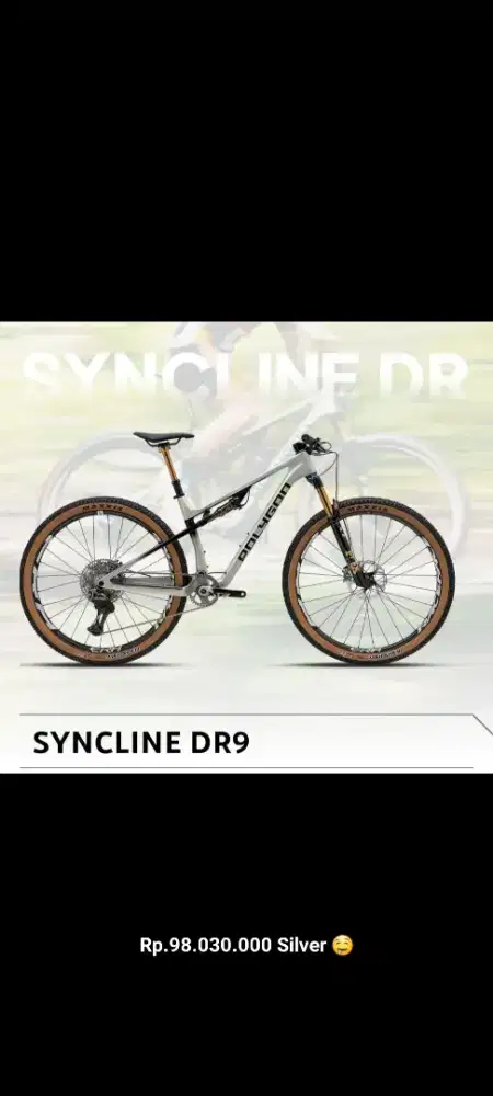 Sepeda SYNCLINE DR 9