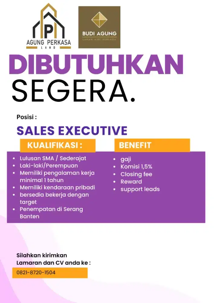 Sales executive