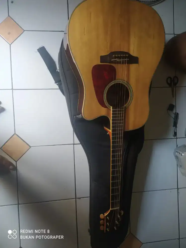 Takamine guitar