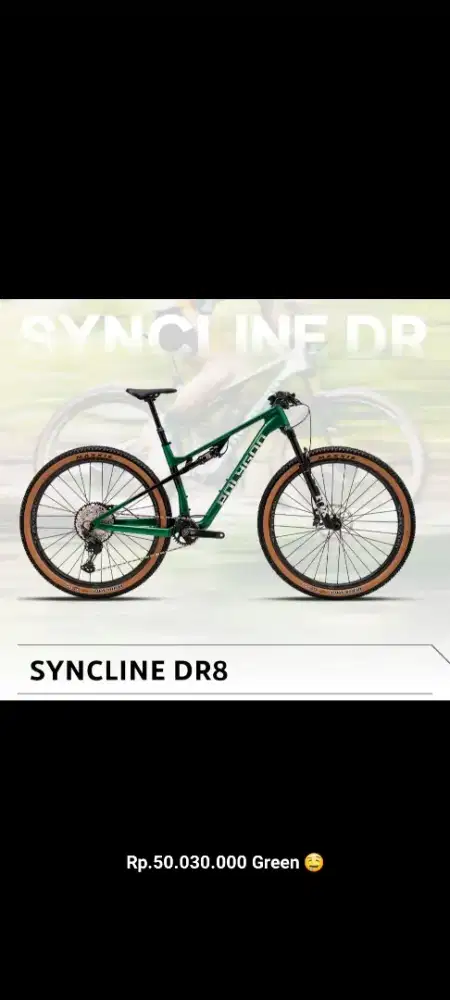 Sepeda SYNCLINE DR8