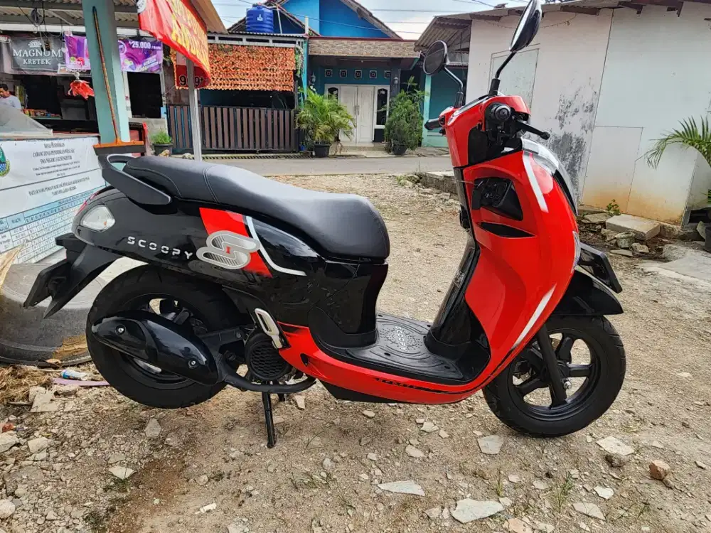 Scoopy New 2024/2025