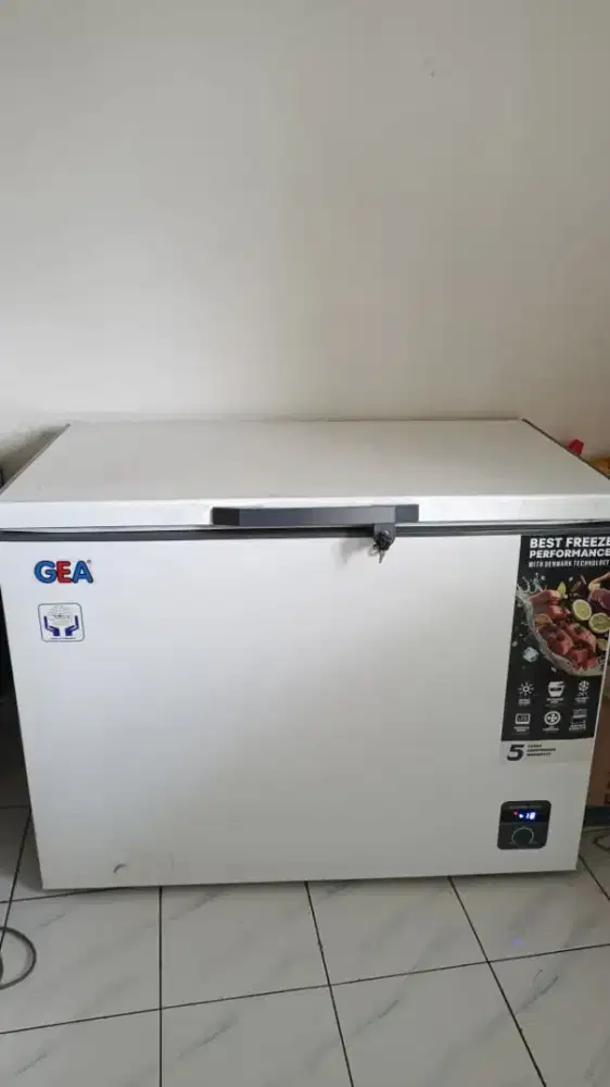 Freezer GEA 300 liter