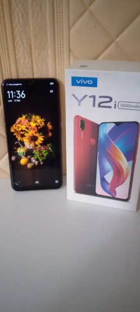 Hp Vivo Y12i Original pribadi