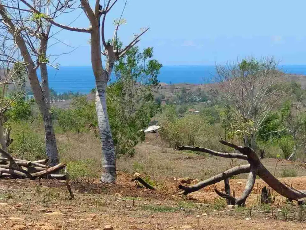 small. land with ocean view only 30 minutes from kita mandalika
