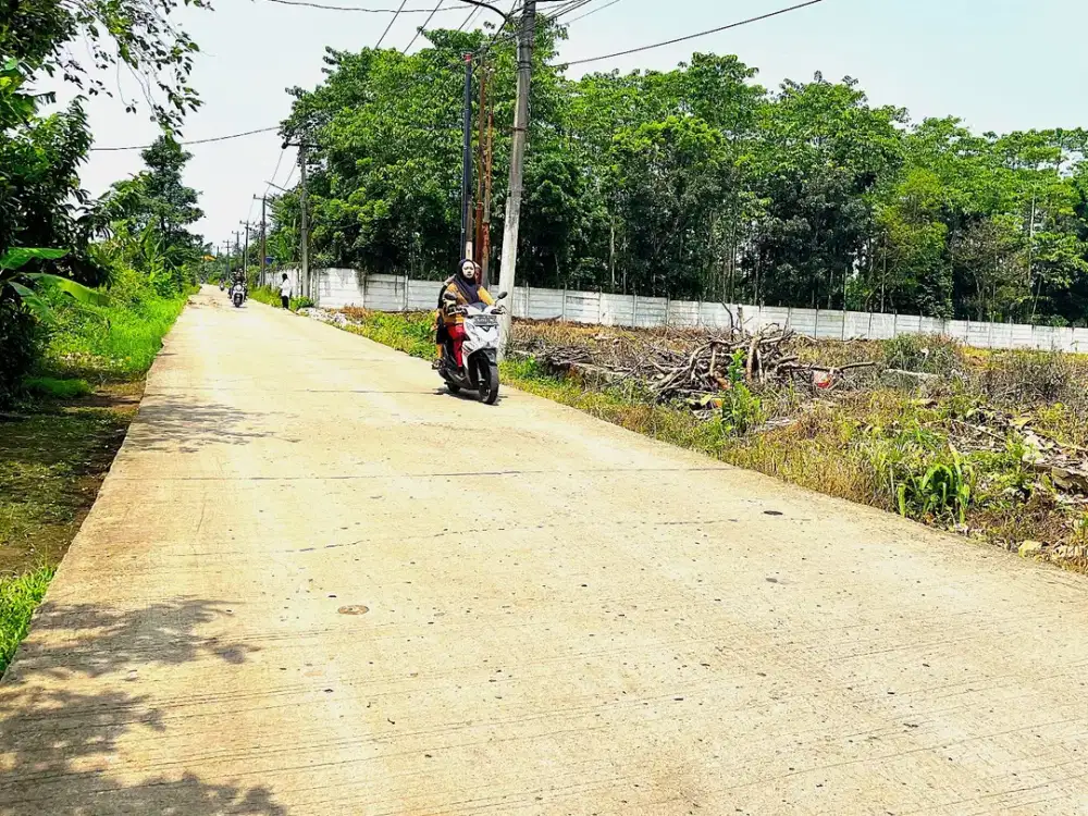 Tanah Murah Cisauk Dekat Fasilitas Umum