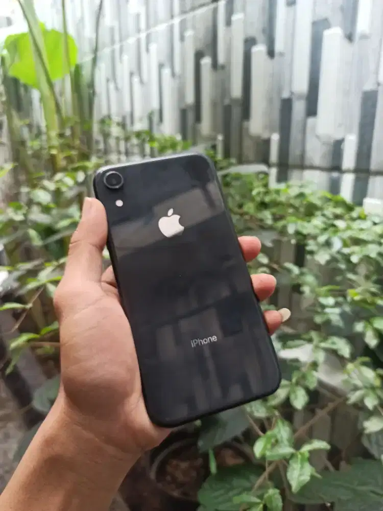 Iphone Xr 64Gb Inter fullset