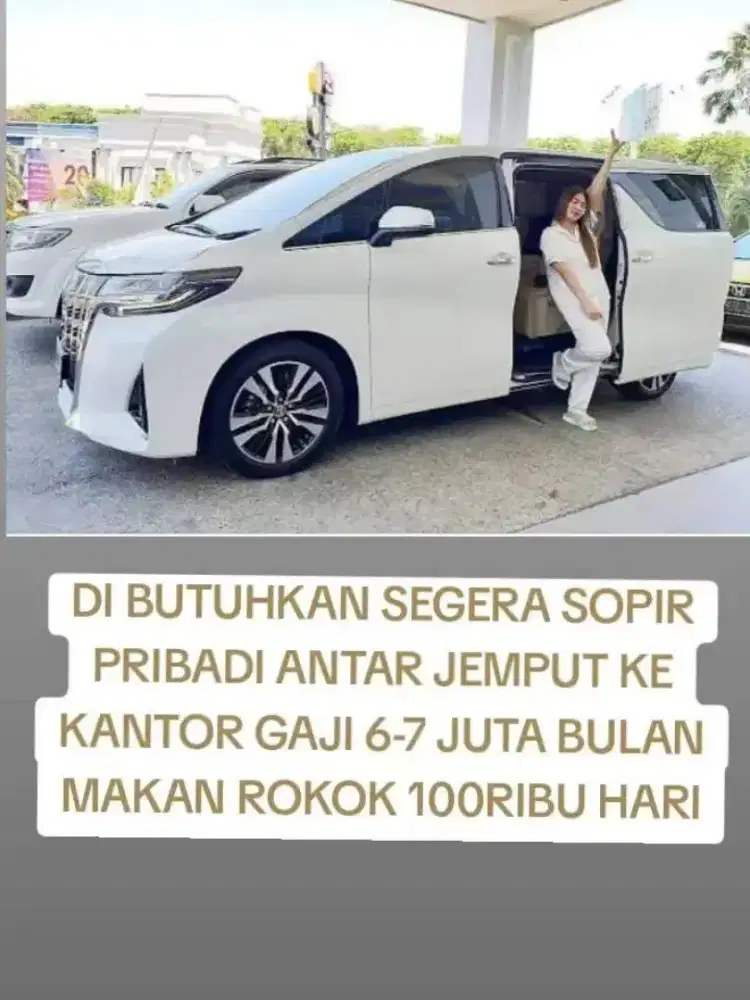 Butuh supir pribadi segerah