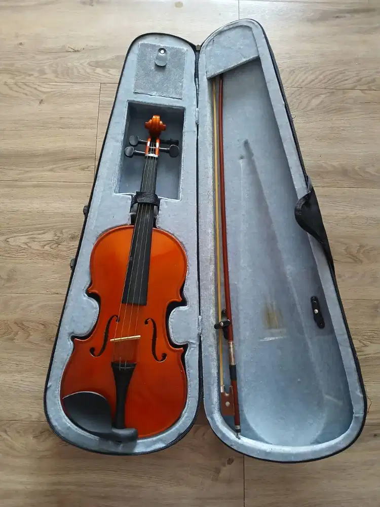 Biola alat musik