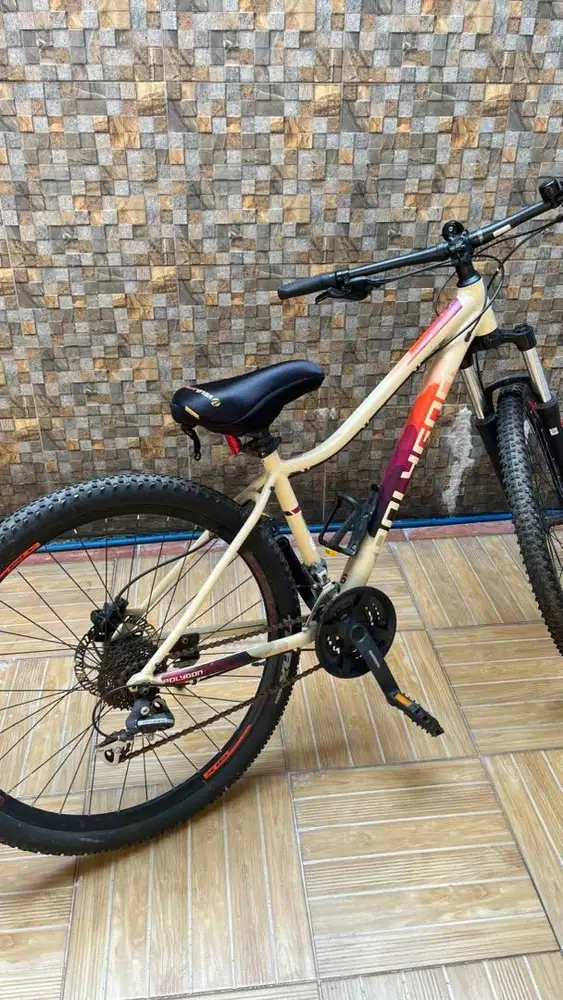 Sepeda Polygon Cleo 2 Size S