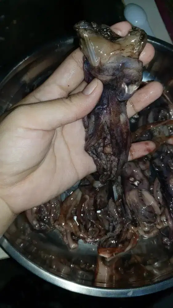 Kepala cumi beku