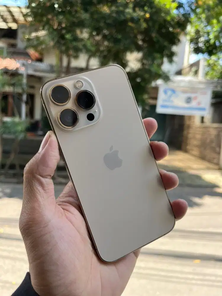 Iphone 13 pro 256 gb ex inter beacukai
