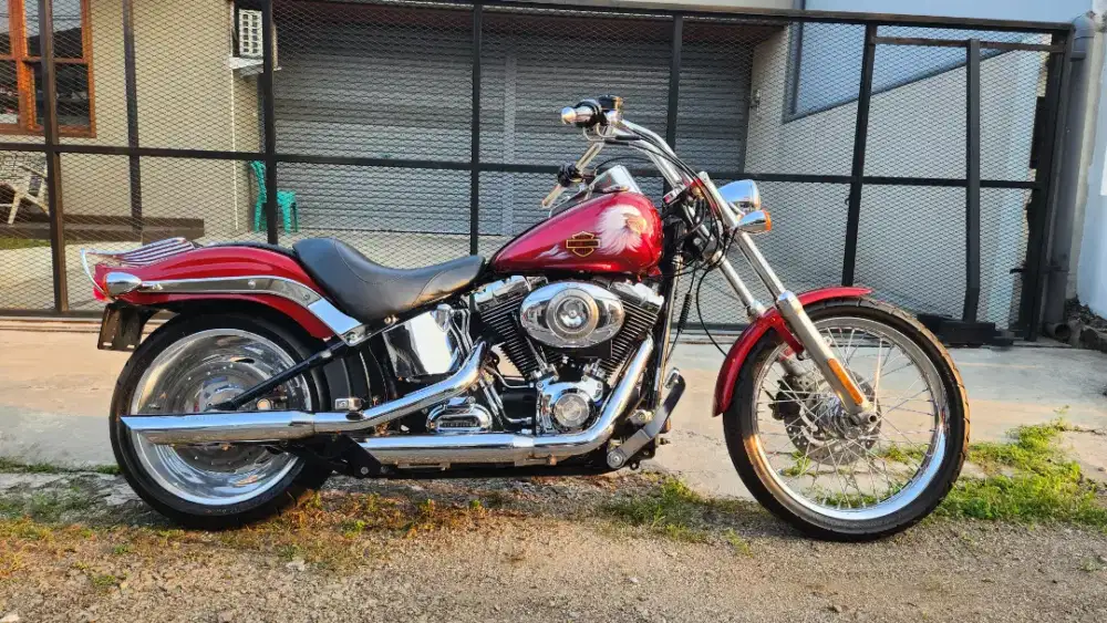 Harley davidson softail 2008 not sportster