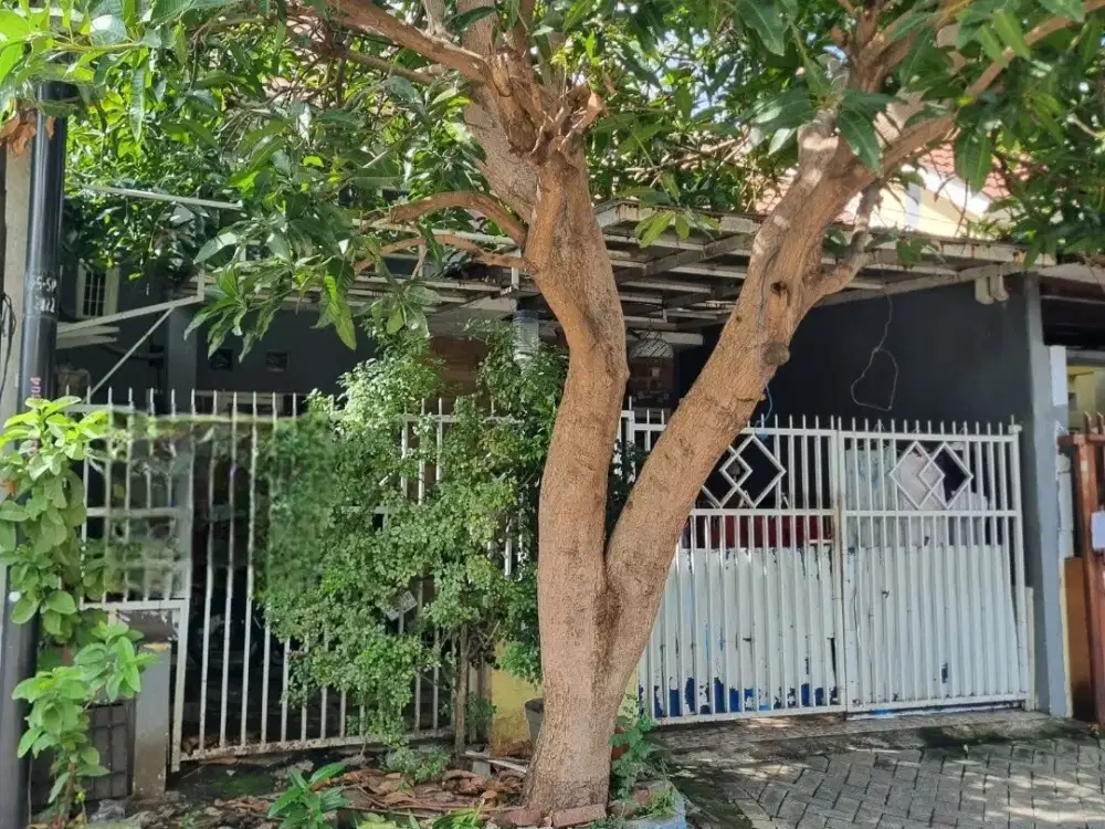 Dijual Rumah Murah dkt Wiyung di Taman Wisata Regency