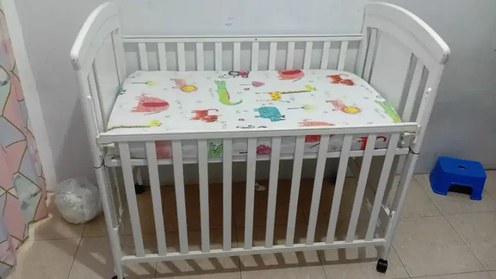 Jual BoX Bayi Little Equi Murah