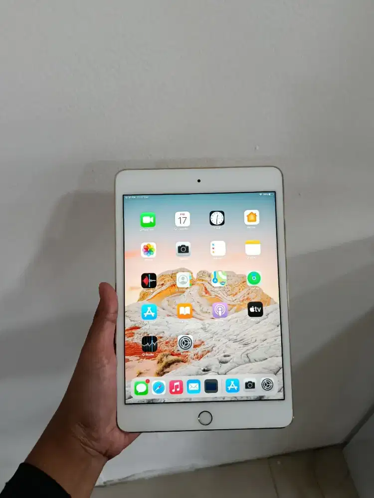 iPad Mini 4 32GB Wifi Only Second