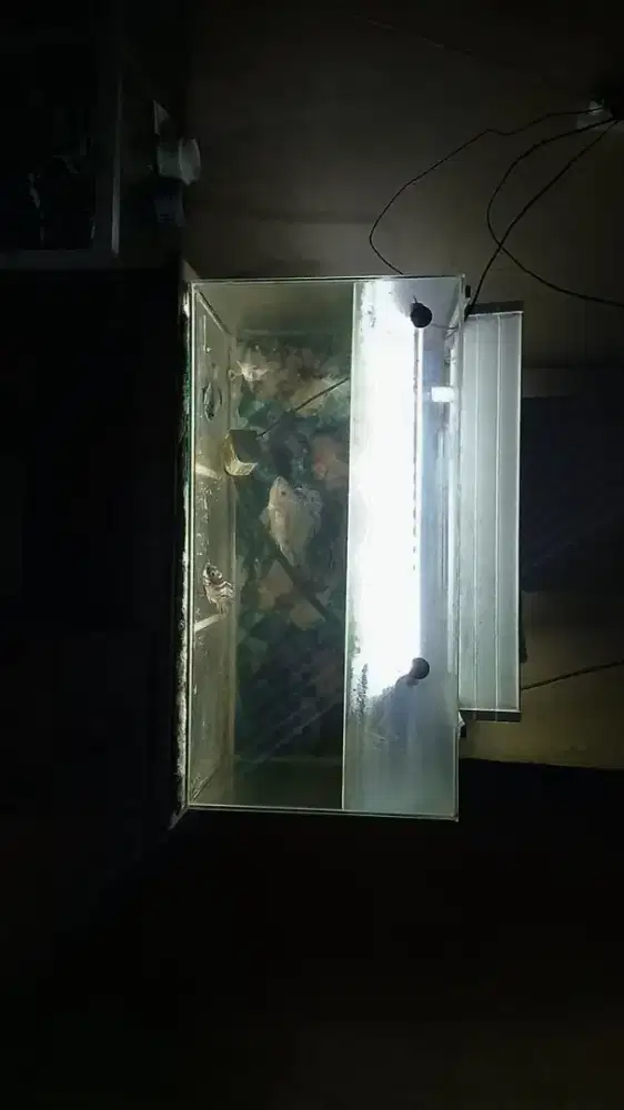 AQUARIUM+ALAT LAMPU