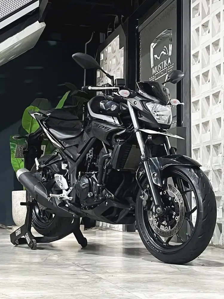 TIPE TERLARIS! Yamaha MT25 2017 Black Edition
