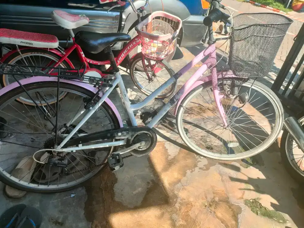 Sepeda polygon Siera