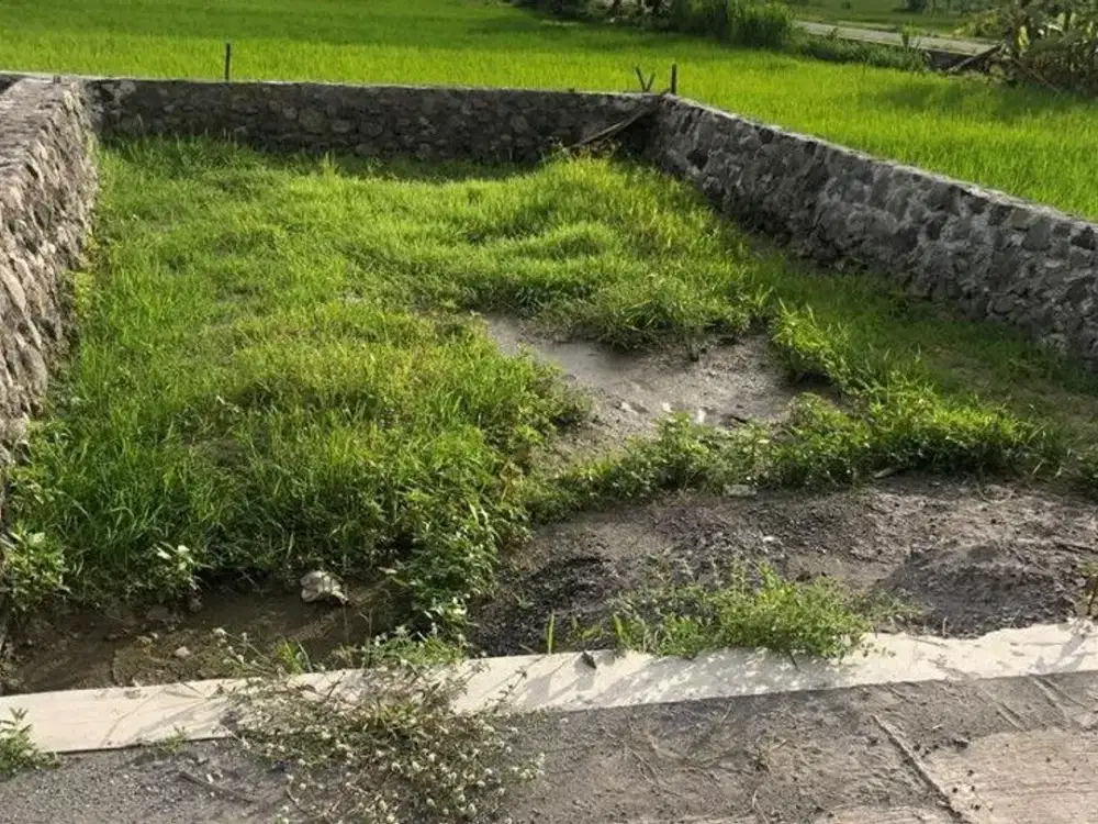 TANAH KAVLING MURAH 200 JUTAAN DI PIYUNGAN BANTUL