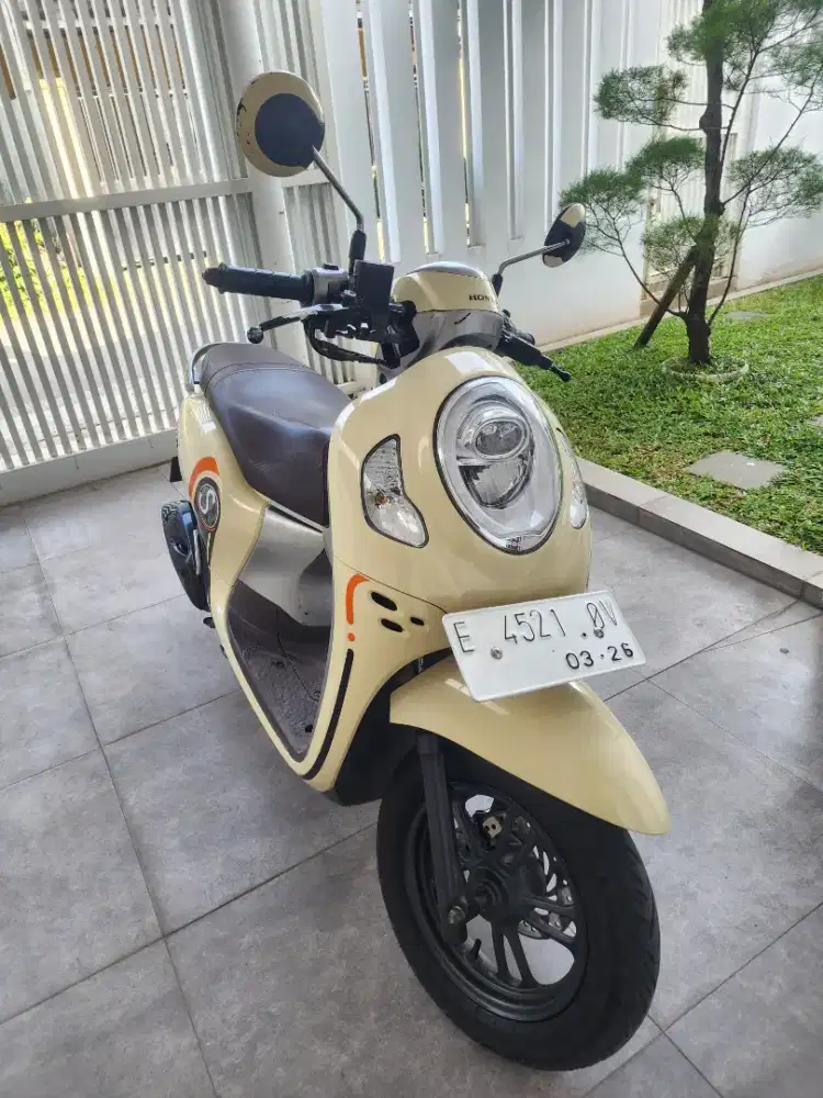 Honda scoopy 2021