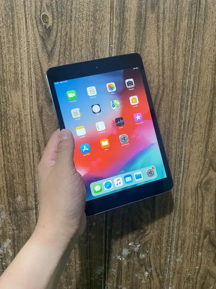 iPad mini 16gb cell