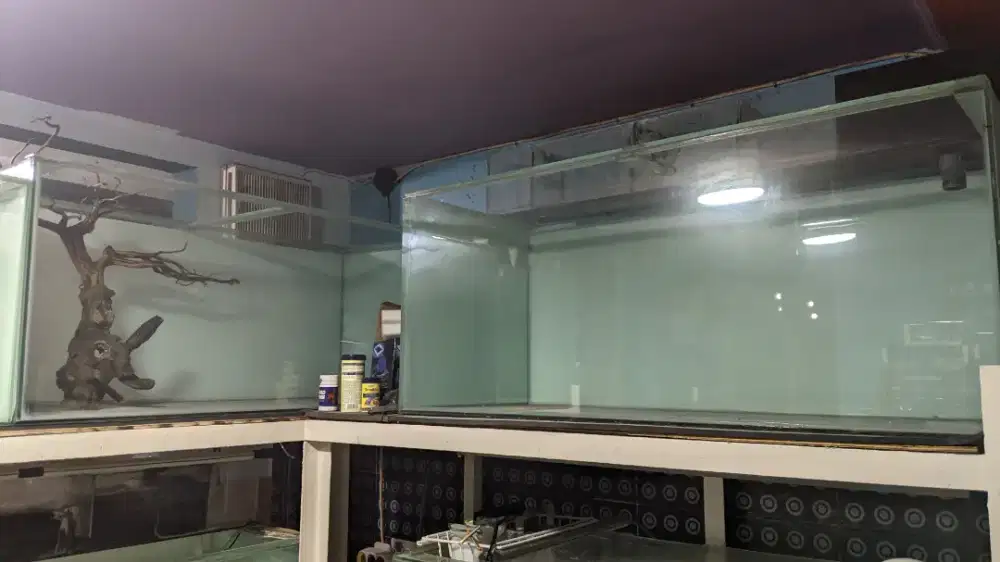 2 buah Akuarium/Aquarium Arwana 120x50x50