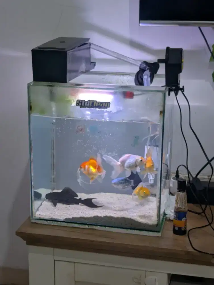 Aquarium akuarium ikan mas koki ikan hias filter 40x30