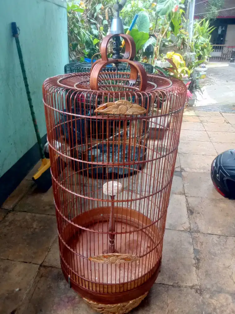 Mangga kurung baranjangan mulus