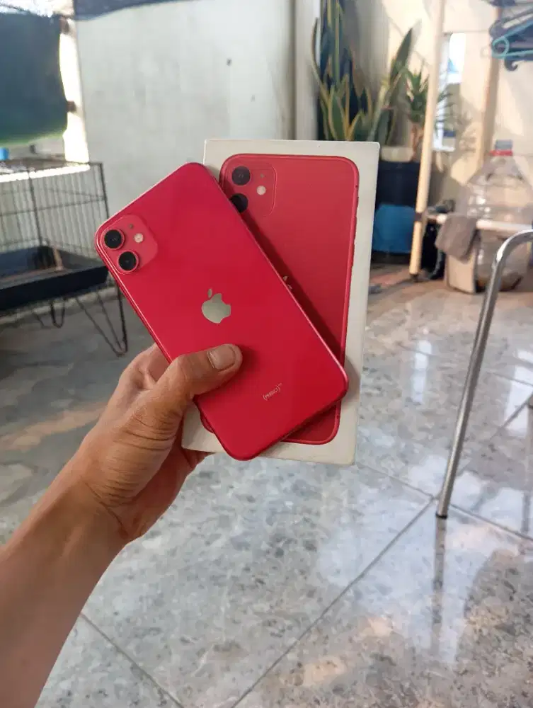 iPhone 11 red 64gb mulus