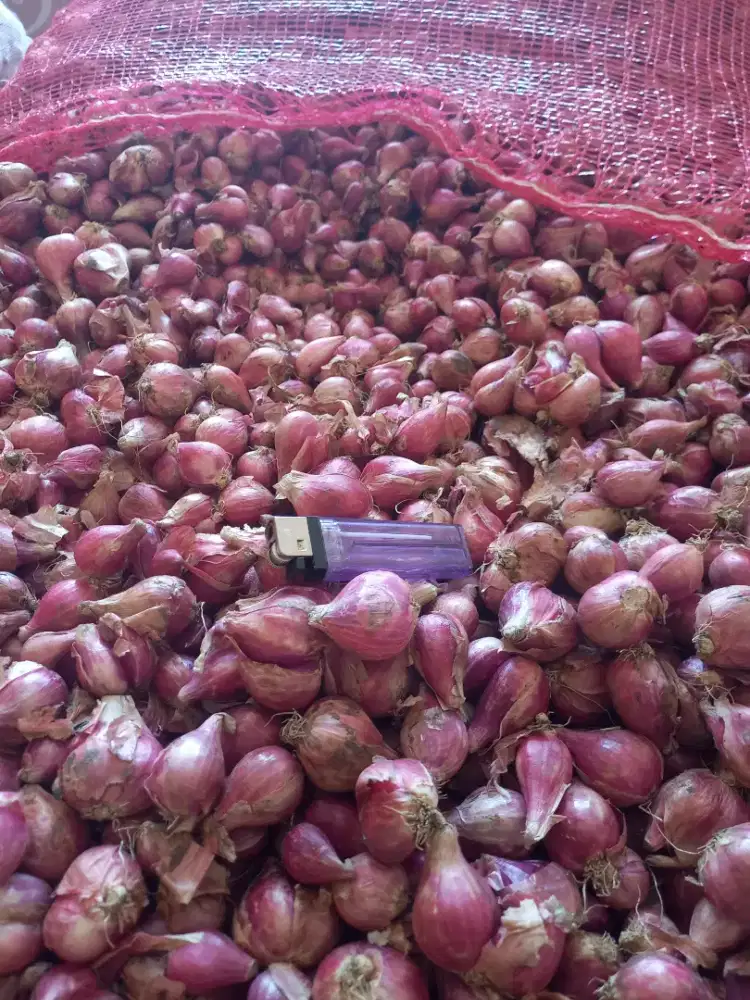 Bawang merah Brebes