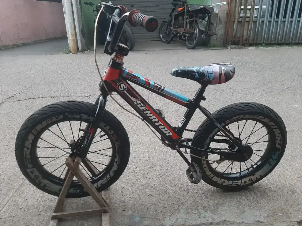 Sepedah bekas ukuran 16 in