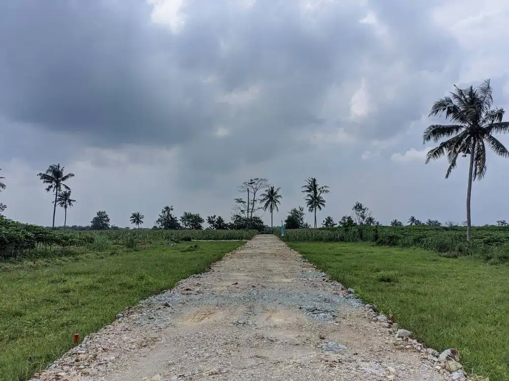 KAVLING TERMURAH ITERA LOKASI SUDAH RAMAI PERMUKIMAN WARGA