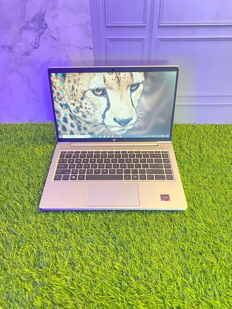Laptop Hp ProBook 455 G8