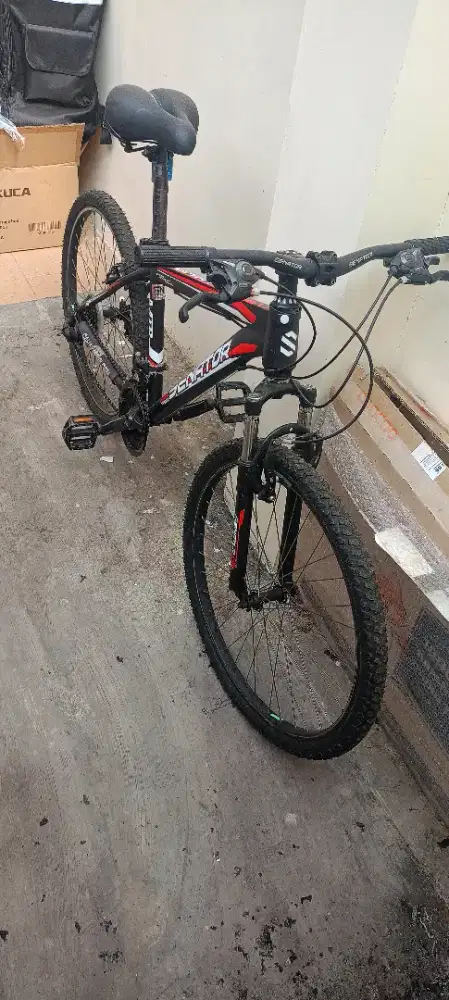 Sepeda senator siap gowes