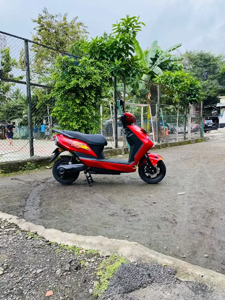 Molis Greentech Rangger Tahun 2024