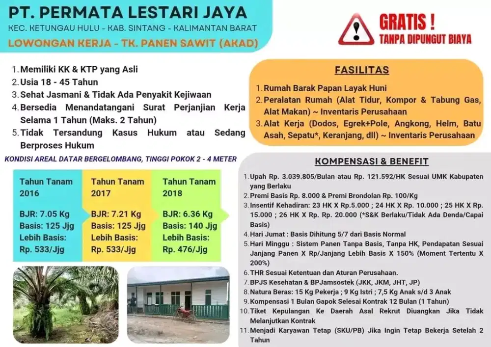 Loker kelapa sawit