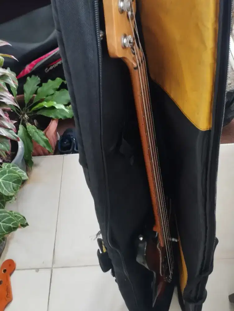 FenderJazz bass aktif, upgrade : pickup MEC ( warwick ), preamp