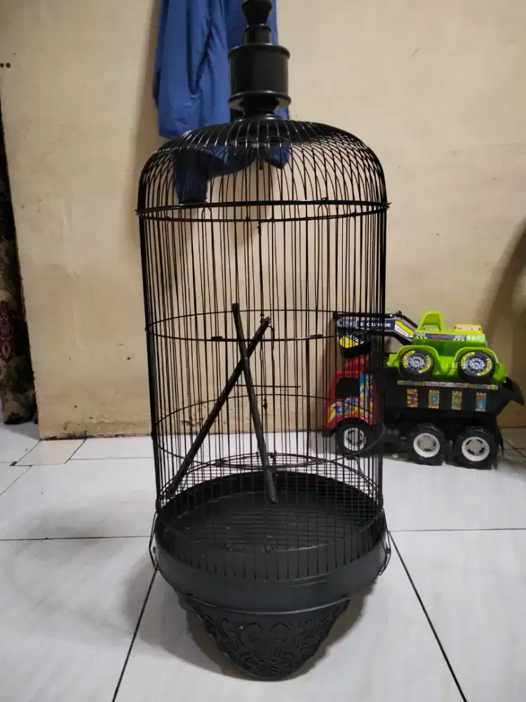 Kandang lovebird