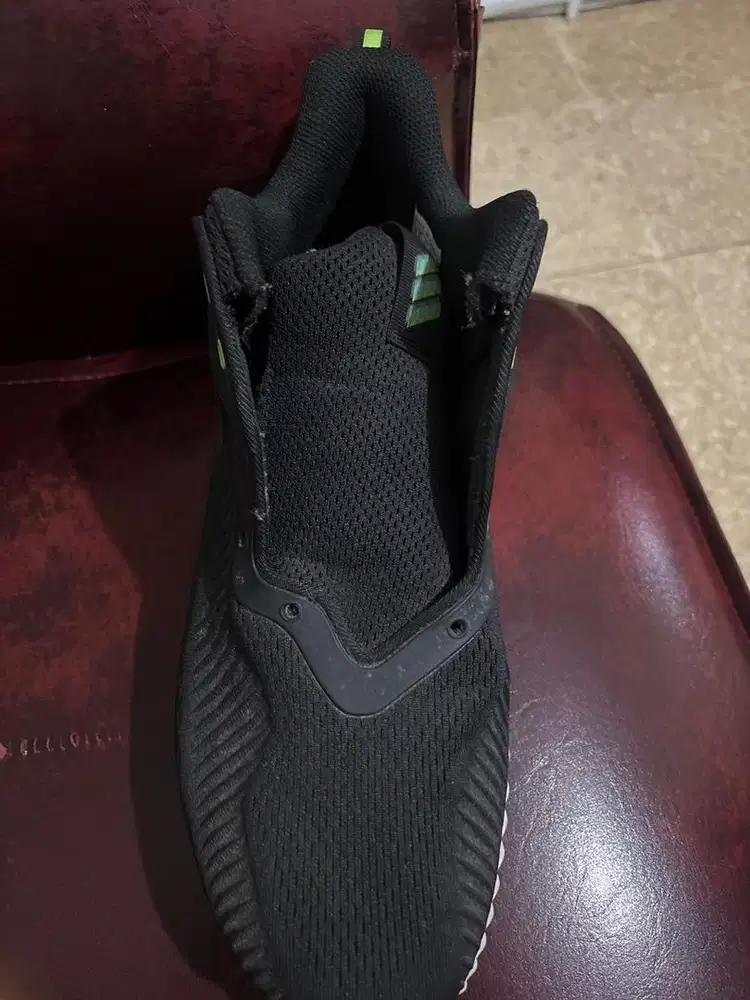 Adidas Bounce 43