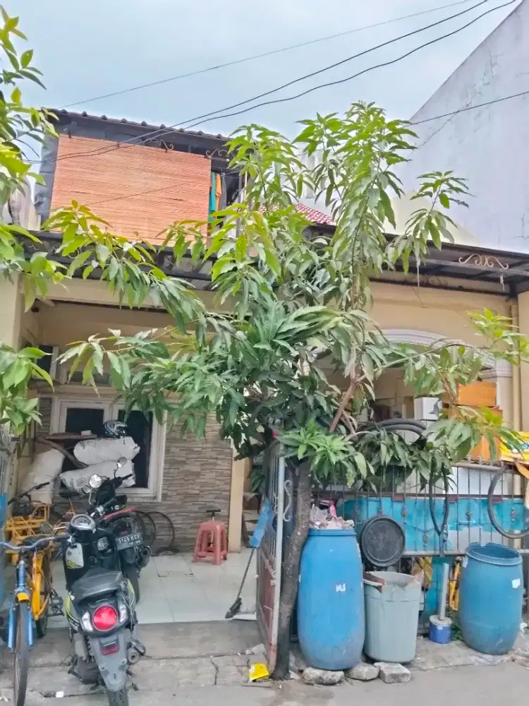 Jualan keliling es krim campina