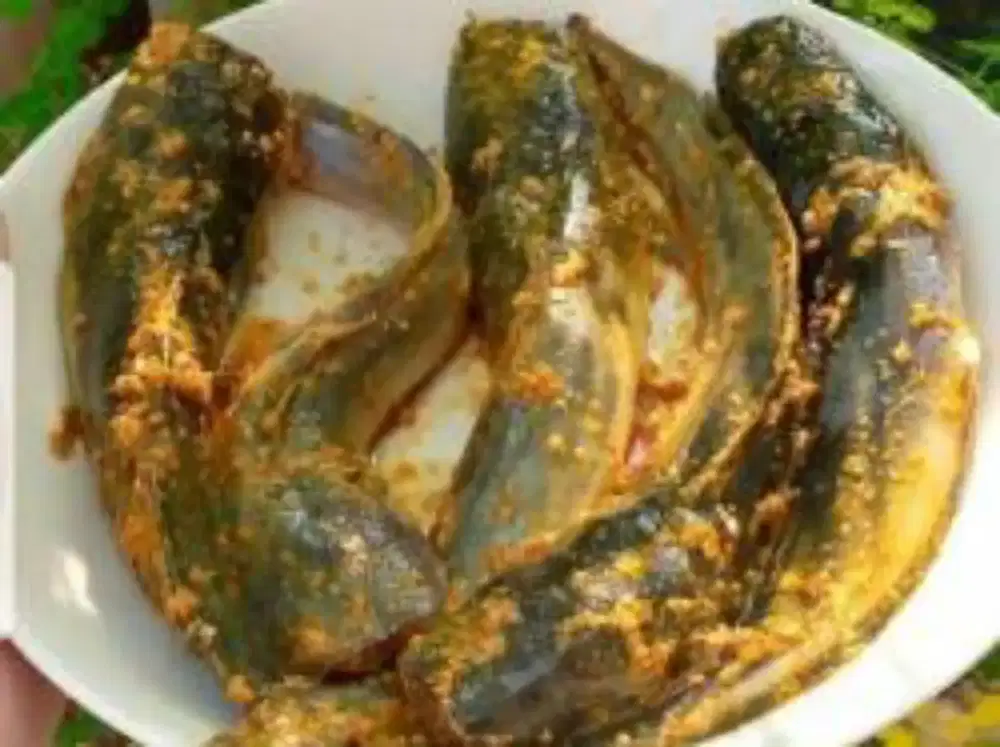 Lele Bumbu Kuning Sehat, Gurih, dan Enak