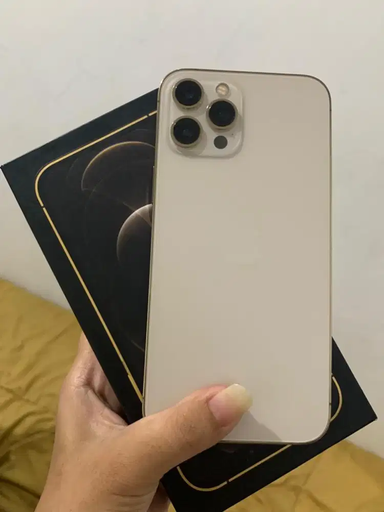 BU Iphone 12 Pro Max 256Gb