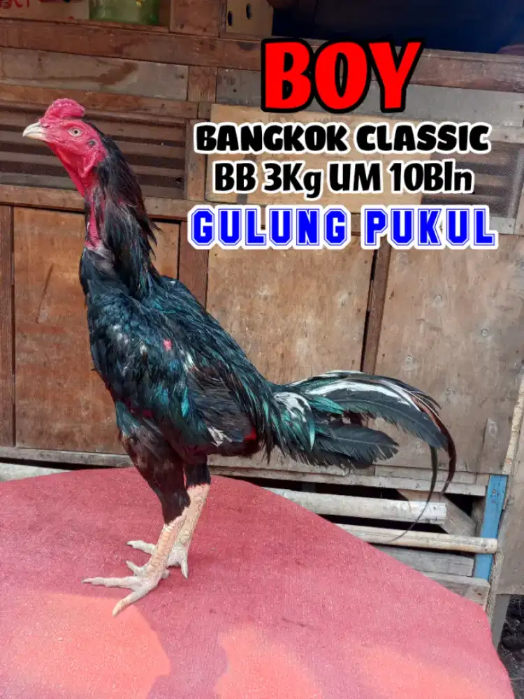 Ayam Bangkok Classic