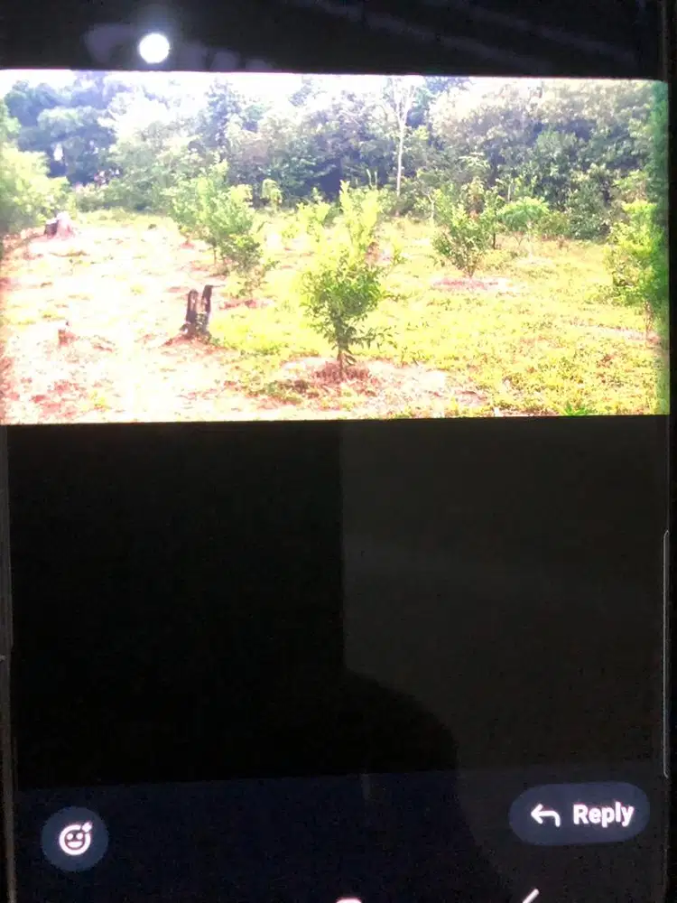 Jual Tanah Jl Berkat Kelapa Gading