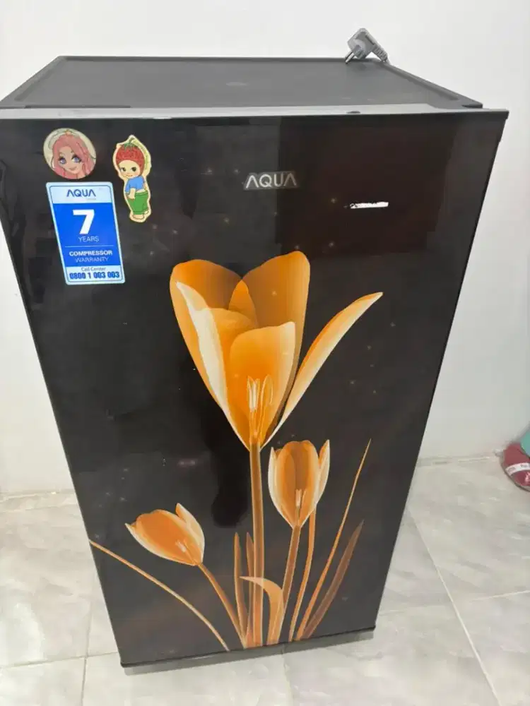 Kulkas 1 Pintu AQUA  Rp 700.000 (Nego)