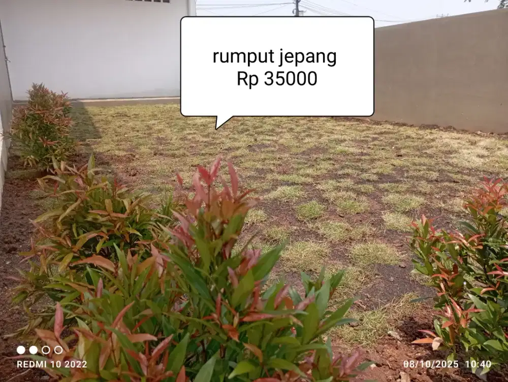 Jasa taman perumahan